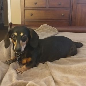 Meet your Posher, Kristine